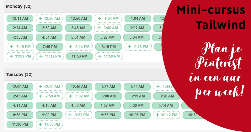 mini cursus tailwind