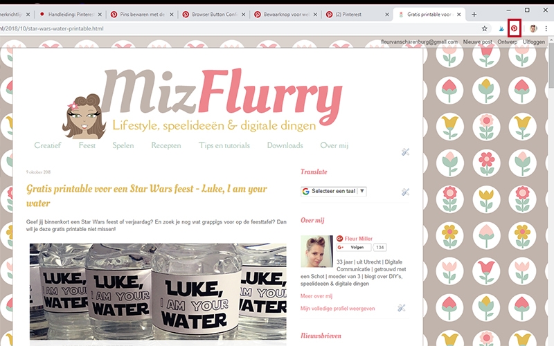 pinterest browser knop