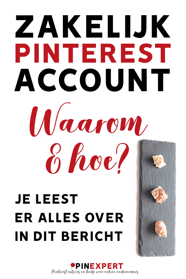 zakelijk pinterest profiel pin