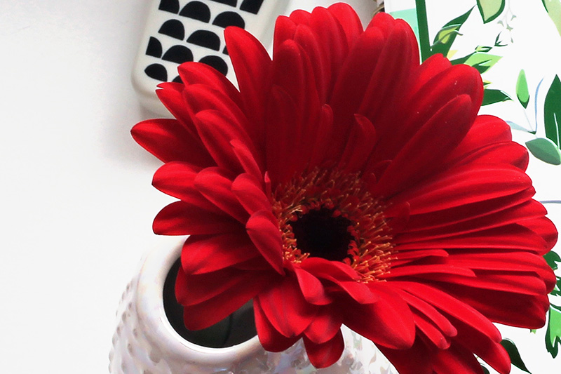 Pinterest ondernemers