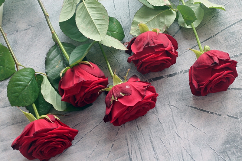 pinterest starten vijf stappen