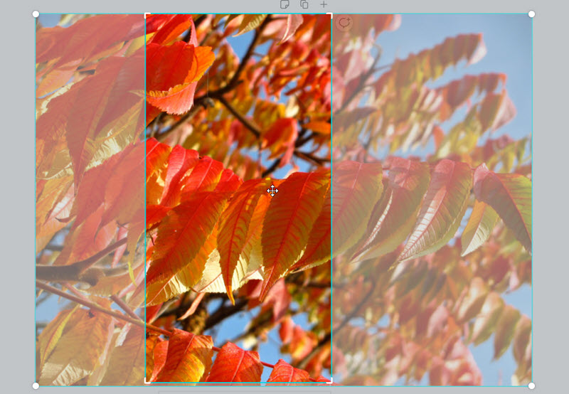 Canva afbeelding verschuiven