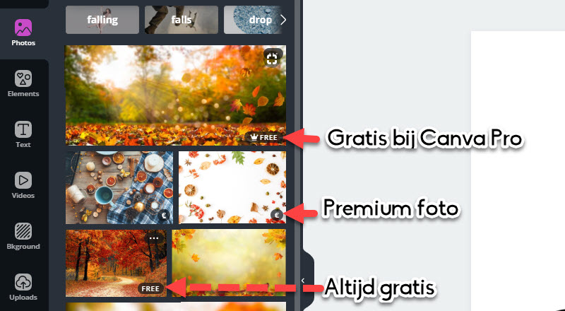 verschillende soorten fotos canva
