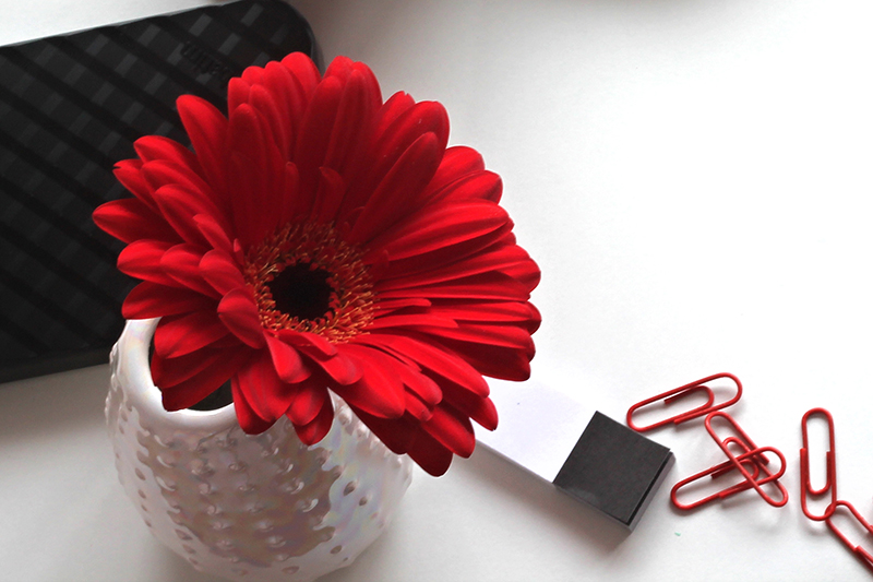 flatlay pinexpert meer verkeer via pinterest